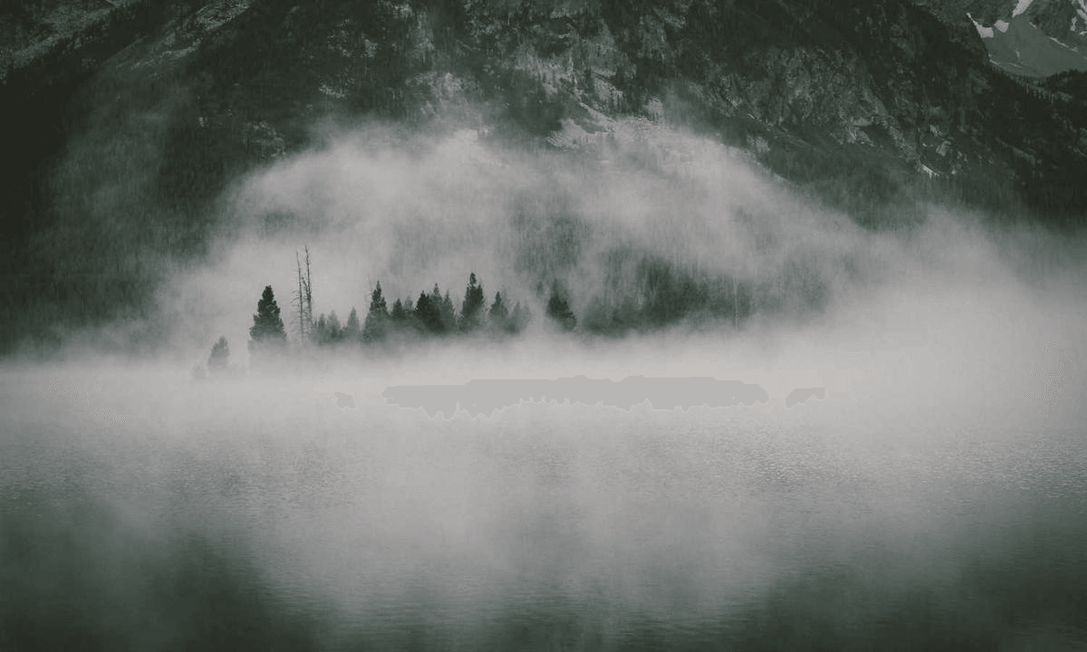 Иллюстрация: service