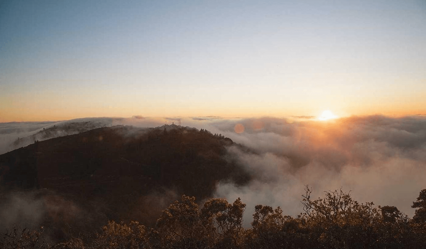 Иллюстрация: hero