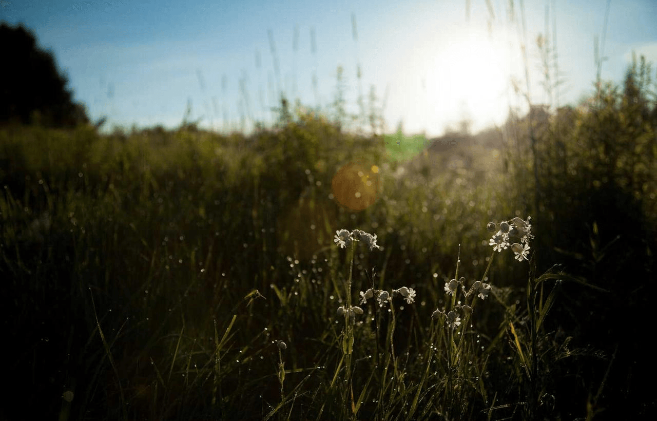 Иллюстрация: visual